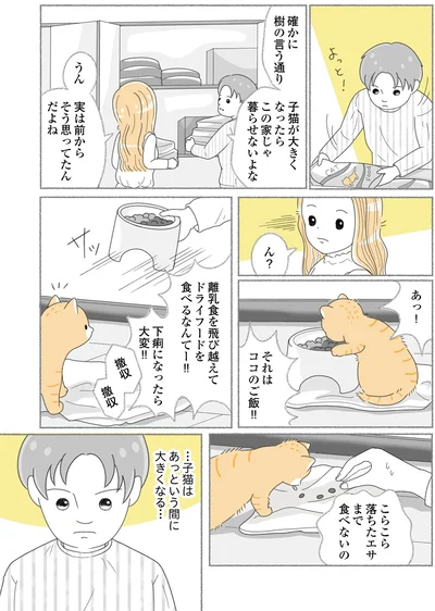 子猫はあっという間に大きくなる…
