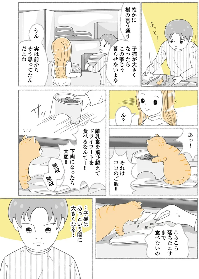 子猫はあっという間に大きくなる…