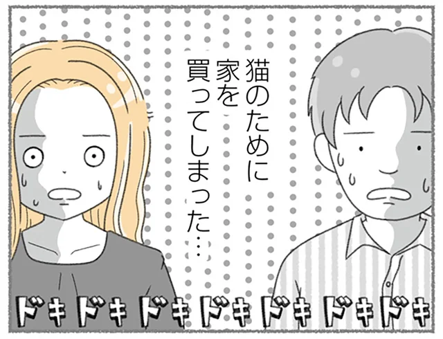 猫10匹のために一軒家を購入！猫たちにとって安全で安心の引っ越しとは／にゃんかつ（14）