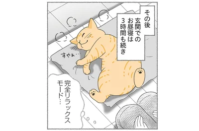 玄関で3時間もお昼寝！驚くほど人懐っこい野良猫との出会い／にゃんかつ（15）