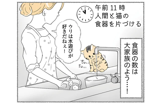 1日6回のトイレ掃除に大量の食器洗い、11匹の猫たちとの暮らしは大忙し！