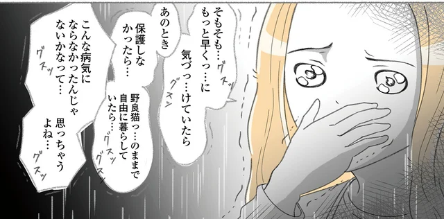 愛猫のガンが判明し、目の前が真っ暗に。絶望の中で夫婦が決意したこと