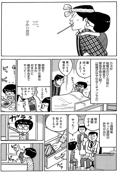 『不妊治療、やめました。〜ふたり暮らしを決めた日〜』より