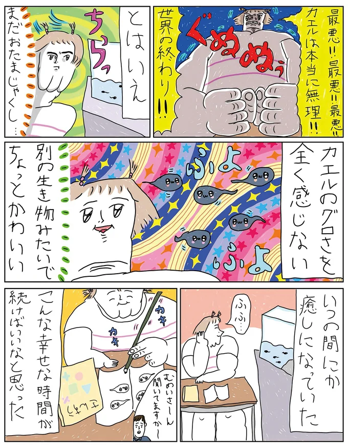 『へたくそなのに泣くほど笑える！ カッラフルなエッッブリデイ★4thステージ』より