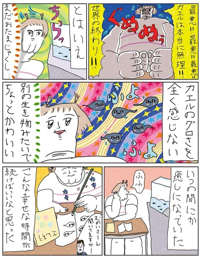 おたまじゃくしは別の生き物みたいでちょっとかわいい