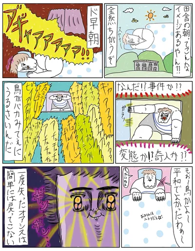 早朝から鳥がうるさい