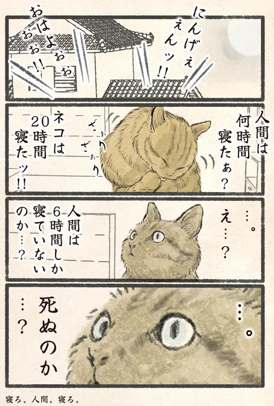 人間は6時間しか寝ていないのか…？