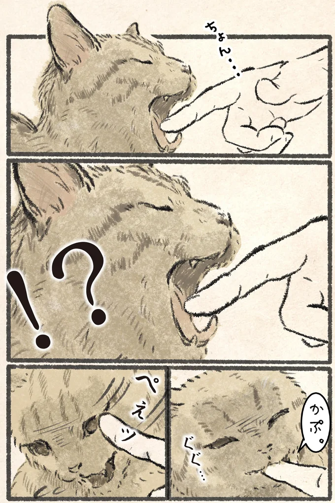 『今日もネコ様の圧が強い』より