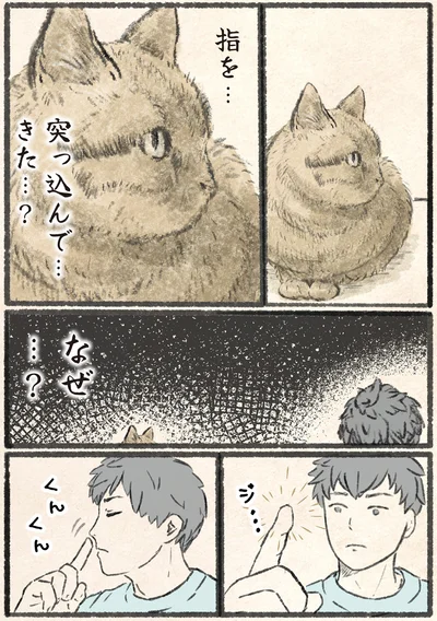 『今日もネコ様の圧が強い』より