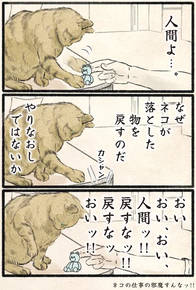 『今日もネコ様の圧が強い』より