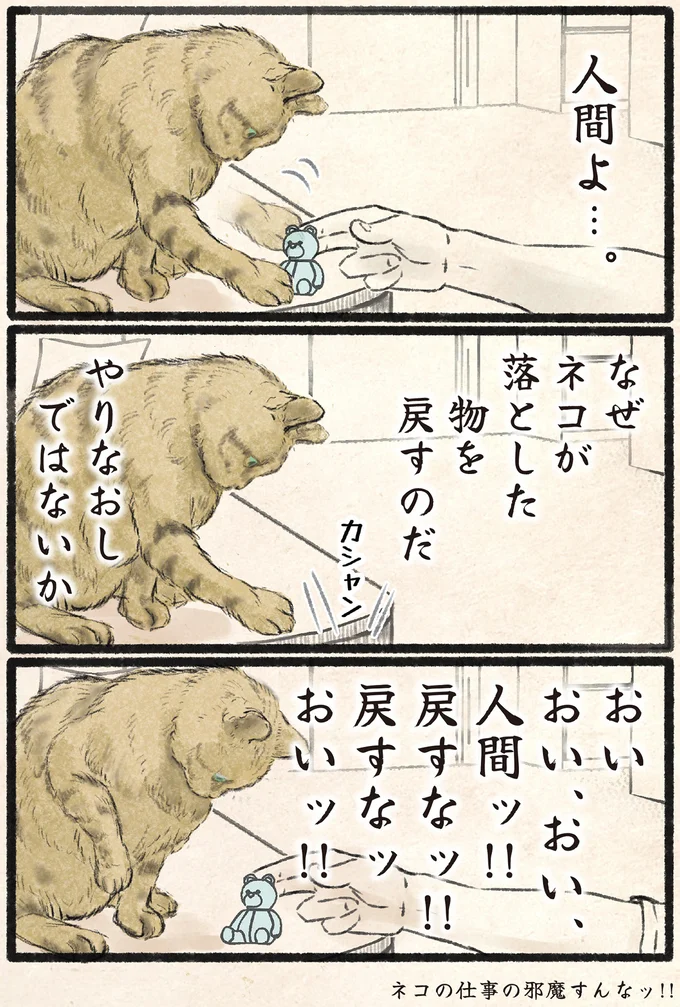 『今日もネコ様の圧が強い』より