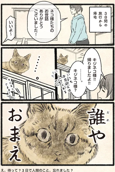 『今日もネコ様の圧が強い』より
