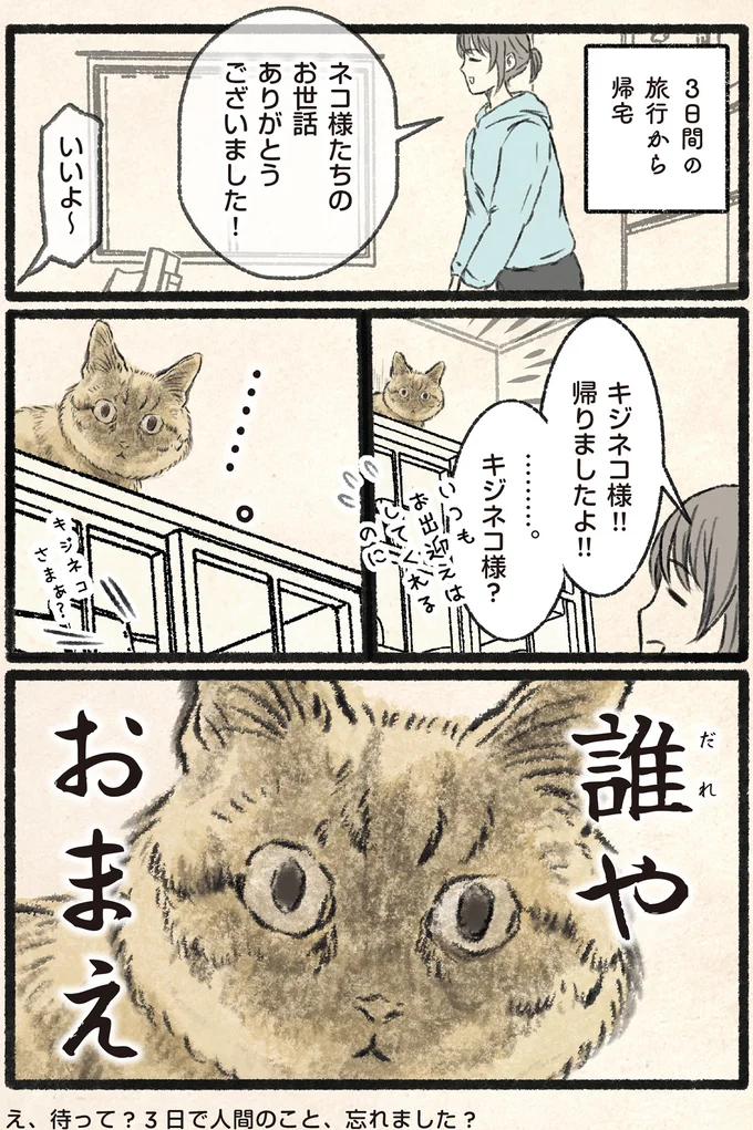 『今日もネコ様の圧が強い』より