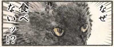 『今日もネコ様の圧が強い』より