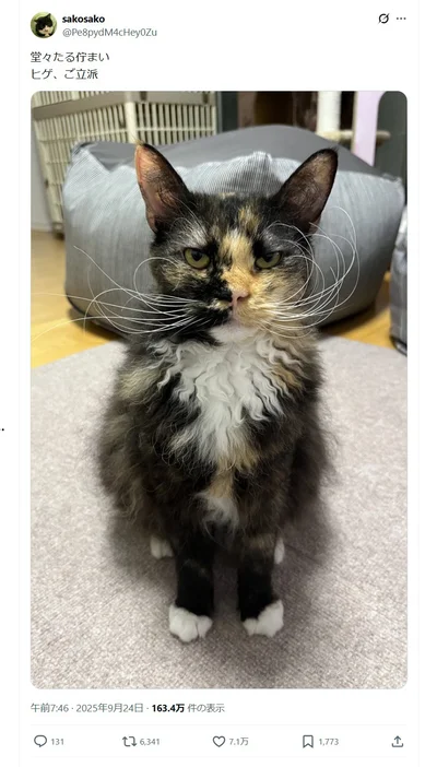 ヒゲの曲線美と真っ直ぐな視線が威厳たっぷり！▶そんなエカちゃんに（⇒次へ）