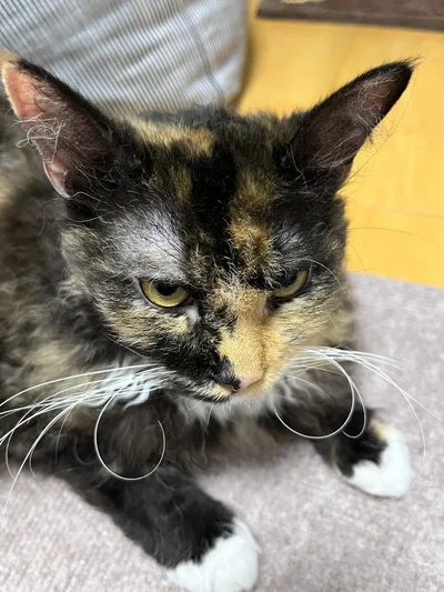 円を描いちゃうことも！▶さらに……？（⇒次へ）