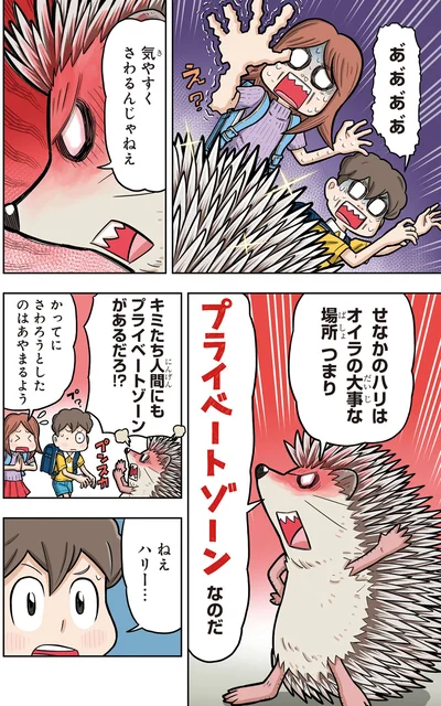 プライベートゾーンなのだ