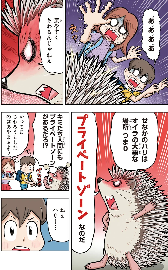 プライベートゾーンなのだ