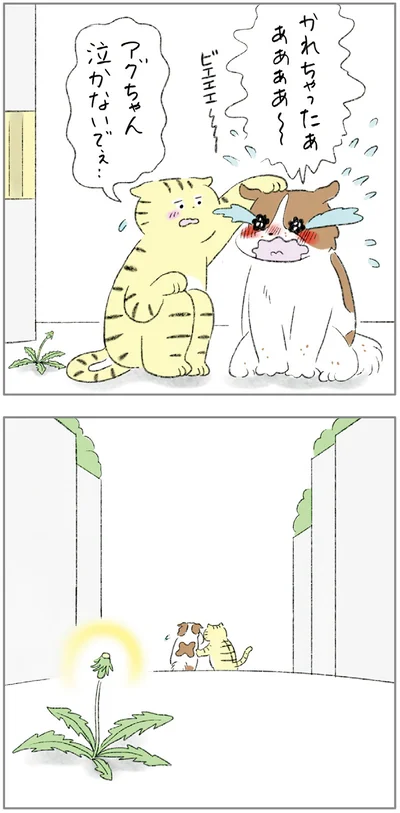 泣かないでぇ…