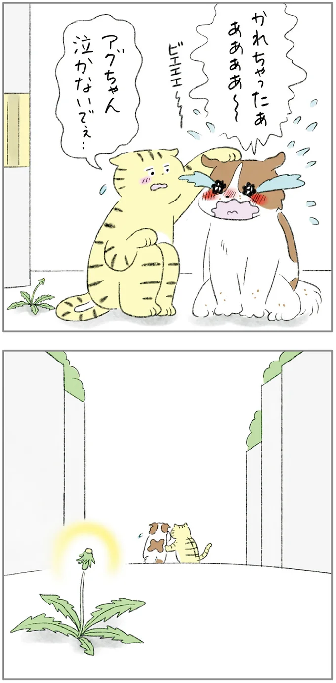 泣かないでぇ…