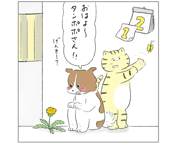 「毎日会いに来るからね」日々欠かさずひとりぼっちのタンポポのもとへ！