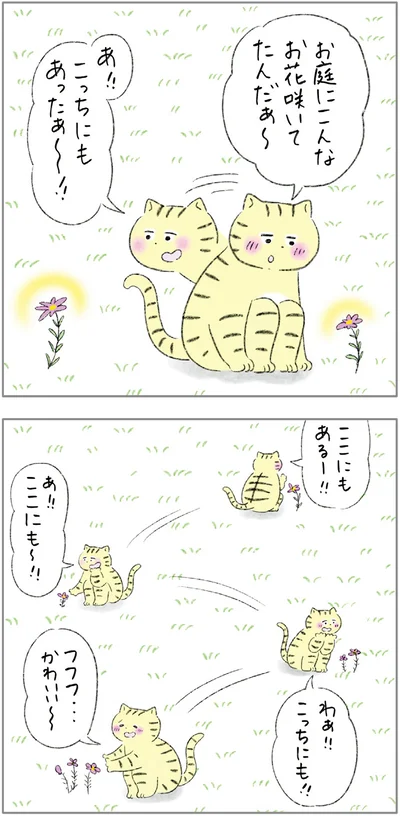 ここにも〜！！こっちにも！！