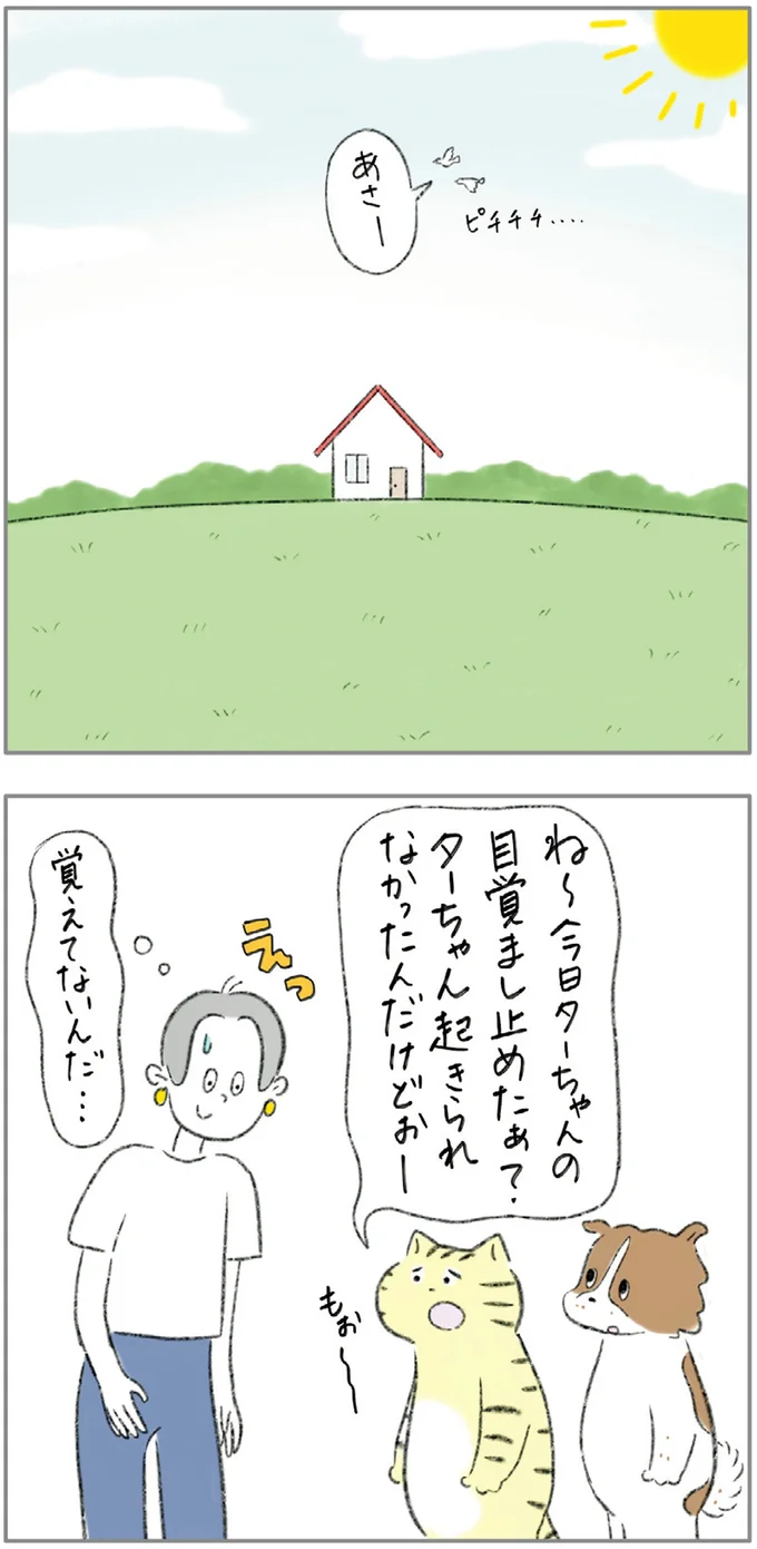 覚えてないんだ