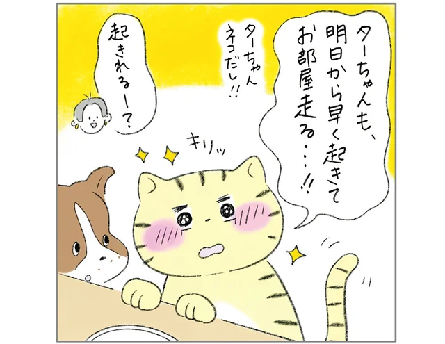 「明日から早く起きる」他の猫に触発され、早起きチャレンジをしてみたら?