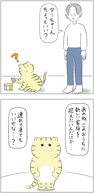このおうちに新しい家族を迎えたいんだけど…