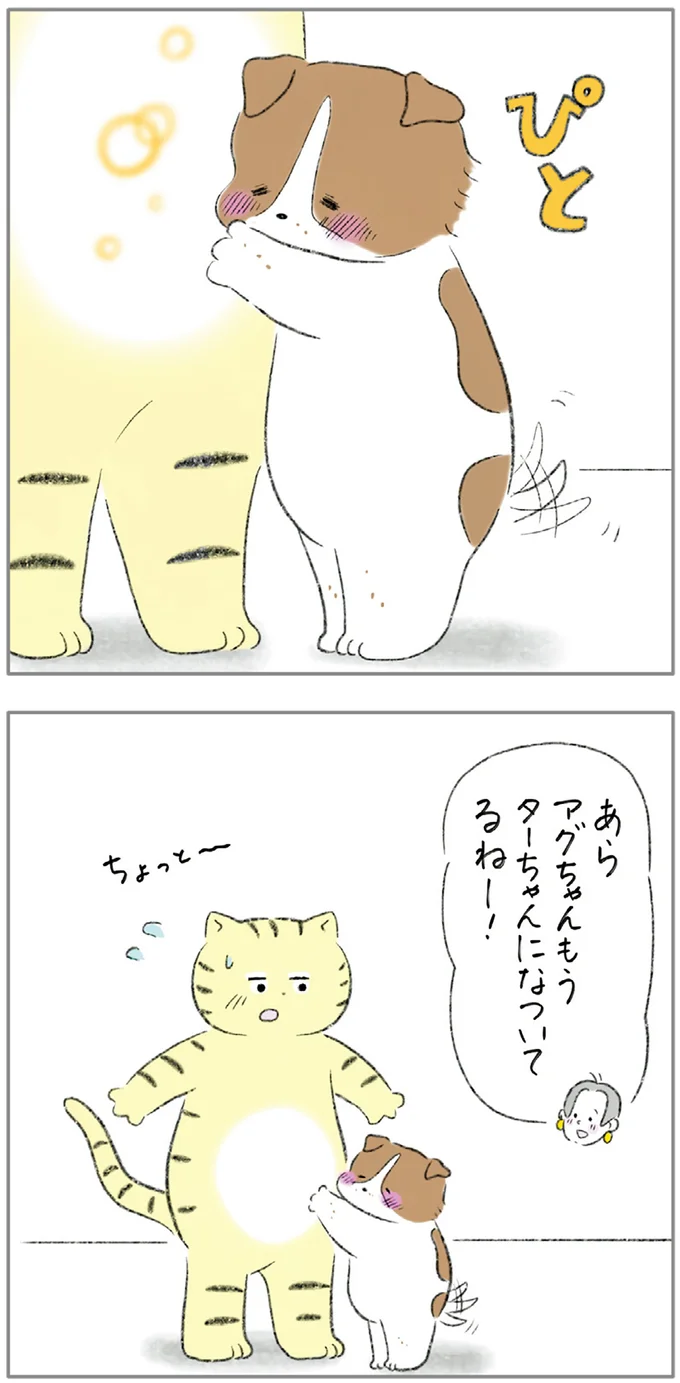 もうターちゃんになついてるねー！