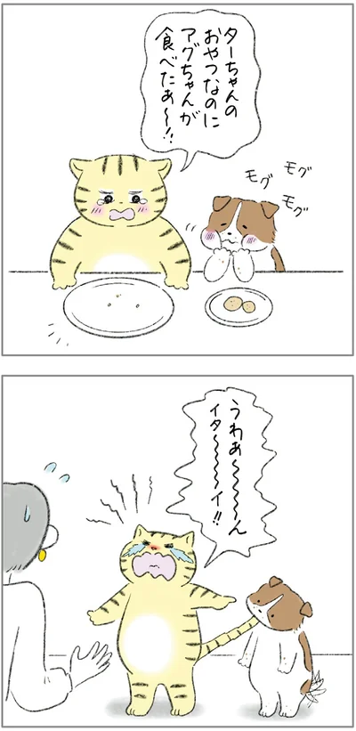 ターちゃんのおやつなのに