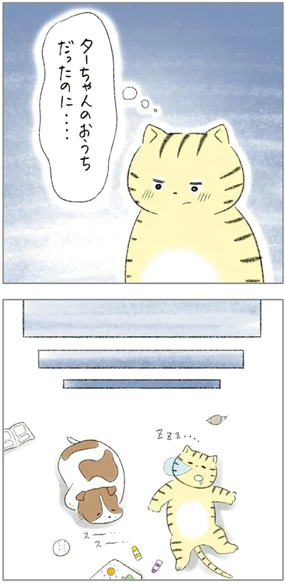 ターちゃんのおうちだったのに…