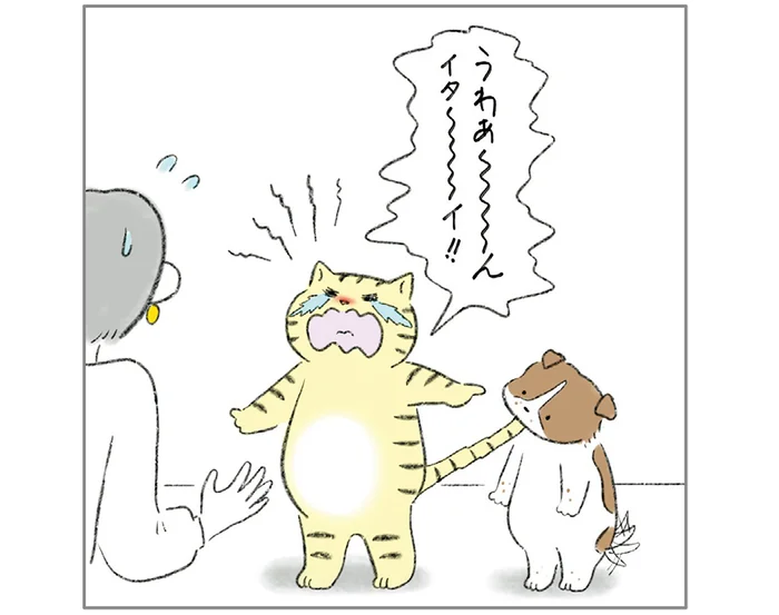 新しく来た子に振り回されて困惑。ふたりが仲良しになるきっかけは？