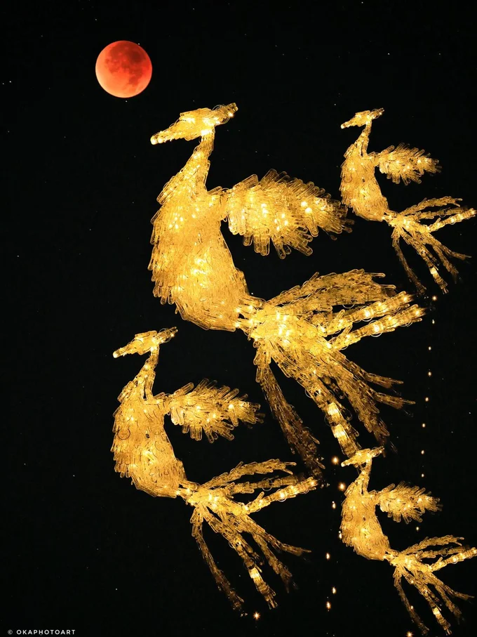 皆既月食とフェニックス▶どの作品も美しい洗濯バサミフォト（⇒次へ）