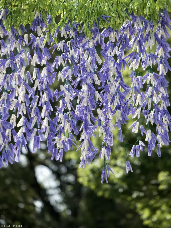 圧巻の洗濯バサミの藤カーテン▶有名なマンガにも登場するあの花も!(⇒次へ)
