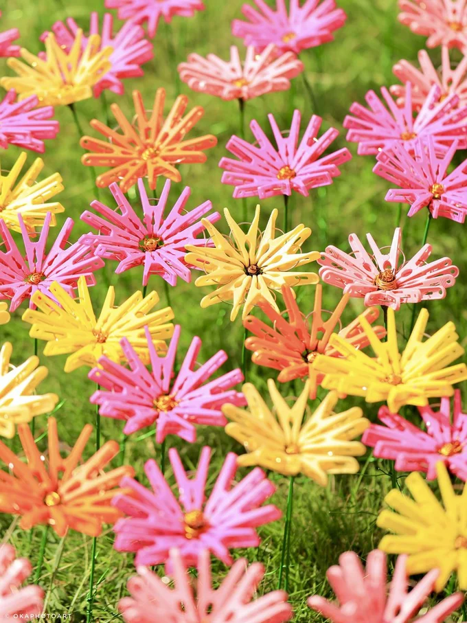 洗濯バサミのコスモスアップ▶ライトアップでより美しく（⇒次へ）