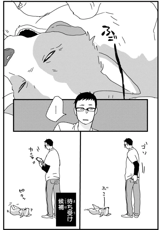 『あしょんでよッ 〜うちの犬ログ〜』より