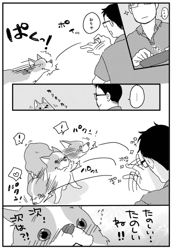 『あしょんでよッ 〜うちの犬ログ〜』より