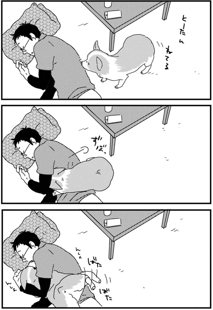 『あしょんでよッ 〜うちの犬ログ〜』より