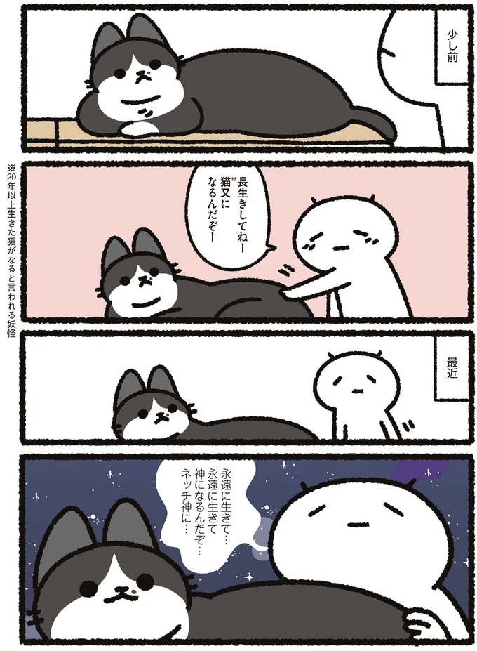 猫又になるんだぞー