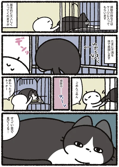 すごい目で見てくる…