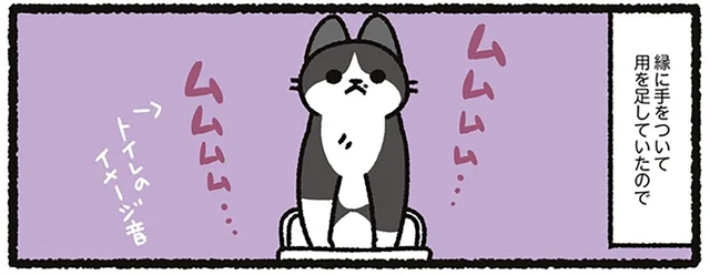 トイレの縁に手をついて用を足す我が家の猫。トイレのサイズが小さいのかな？と思いきや