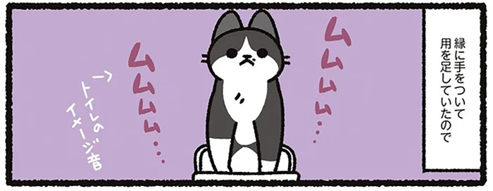 トイレの縁に手をついて用を足す我が家の猫。トイレのサイズが小さいのかな？と思いきや／あっち こっち ネッチ！（3）