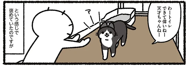 トイレを上手に使えたことを褒めたい! しかし猫の年齢的に子ども扱いしすぎか?と思い至って