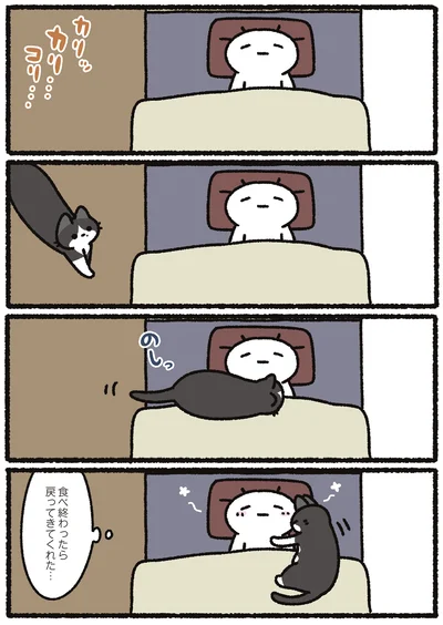 食べ終わったら戻ってきてくれた…