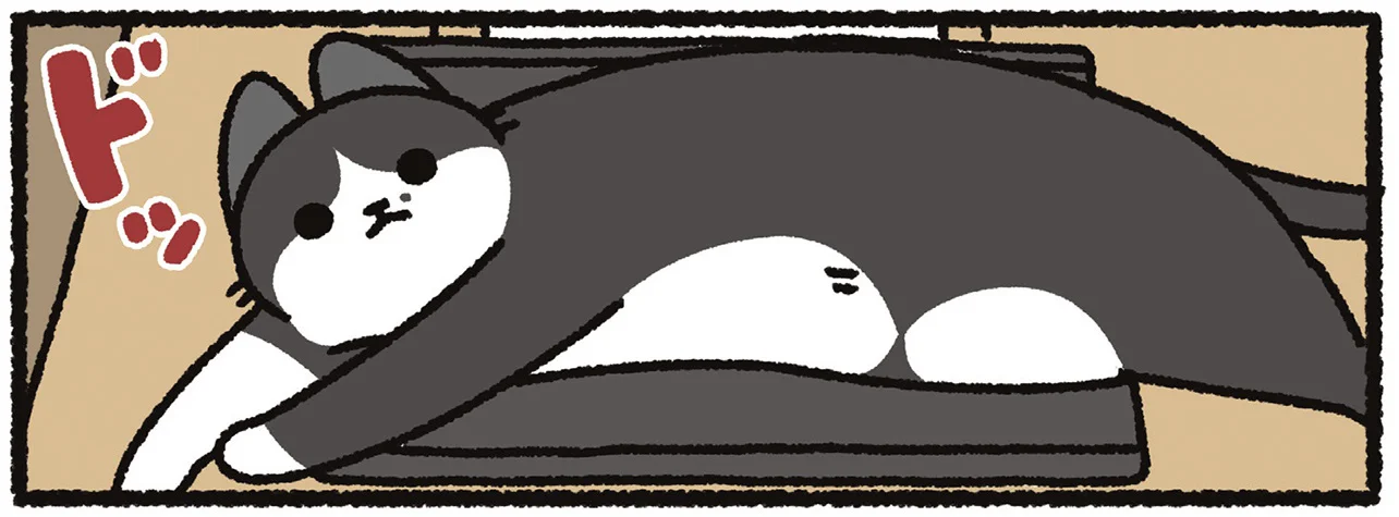 猫あるあるに複雑な心境。タブレットの上を陣取る体をなんとかしたい