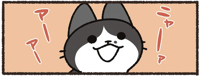 遊んでほしそうな猫