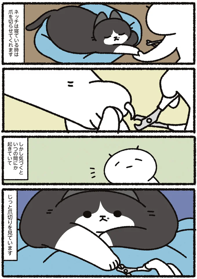 いつの間にか起きていて