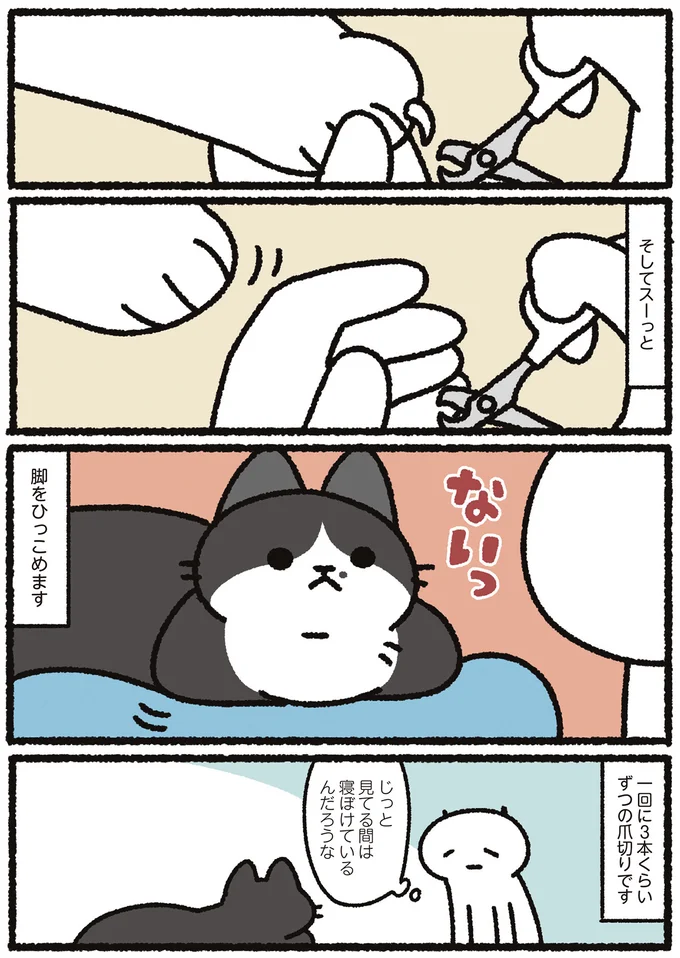 寝ぼけているんだろうな