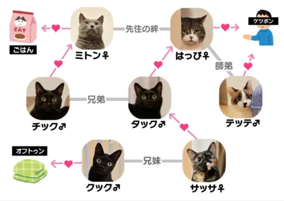 相関図▶それぞれの性格紹介（⇒次へ）